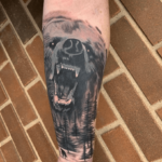 coverup bear 3