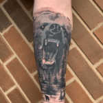 coverup bear2