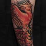 pheonix cover up2