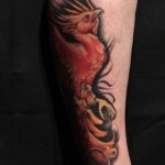 pheonix coverup3